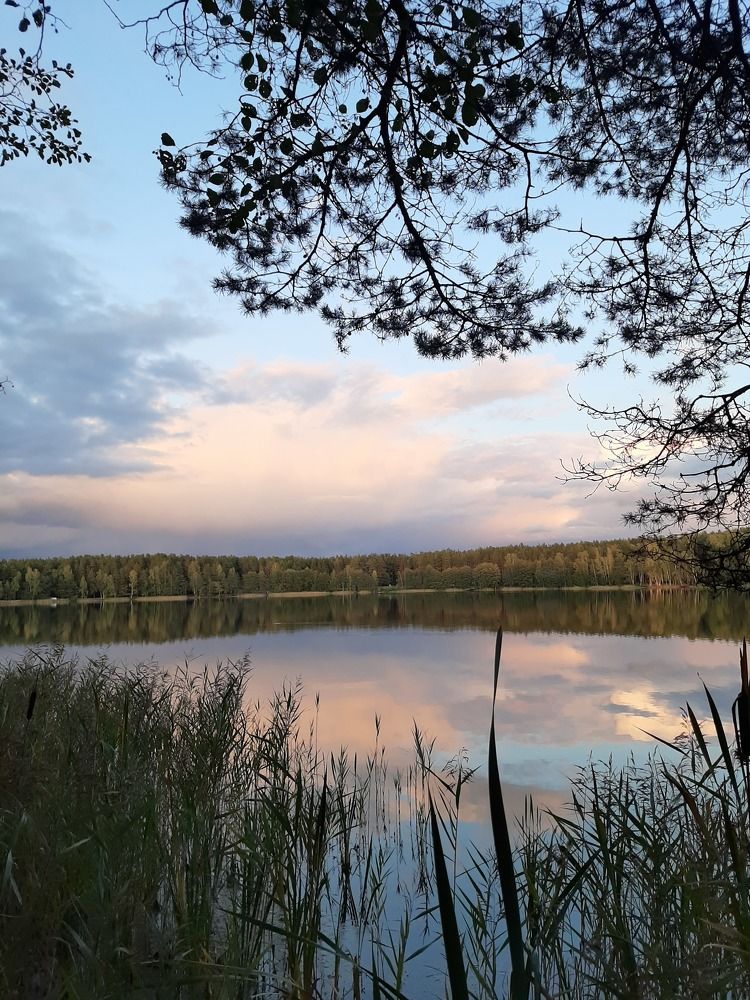 Photograph by Елена