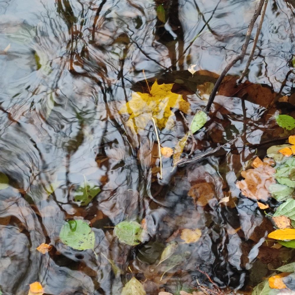 Фотография автора Анастасия