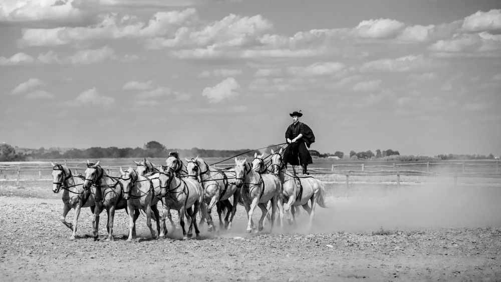 Photograph by Elekesné Sz. Leszja