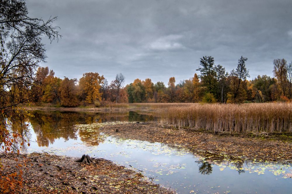 Photograph by Владимир Новиков