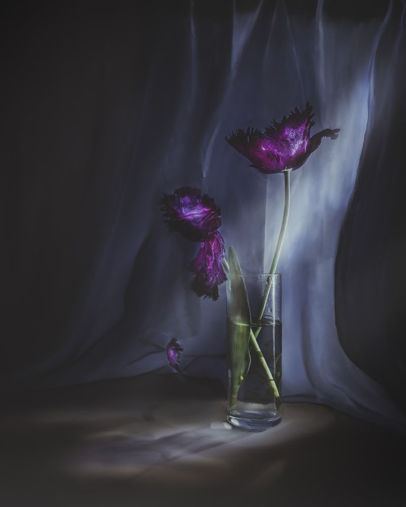 Photograph by Раиса Ламли