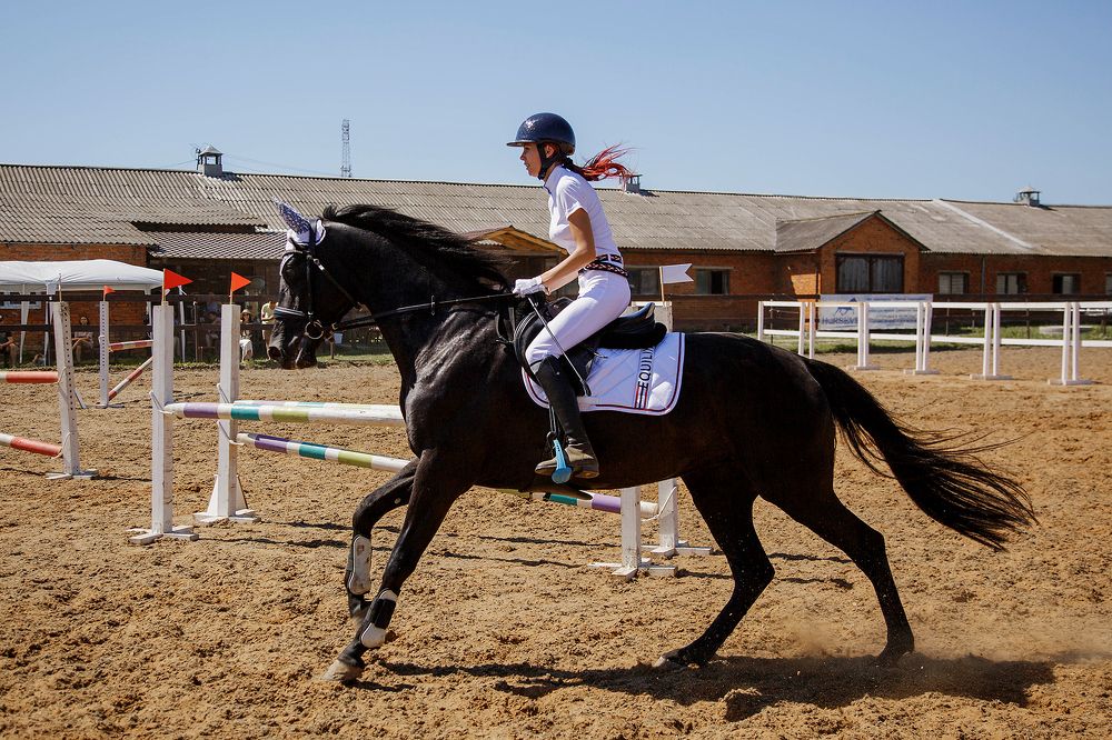 Photograph by Анастасия Данилова