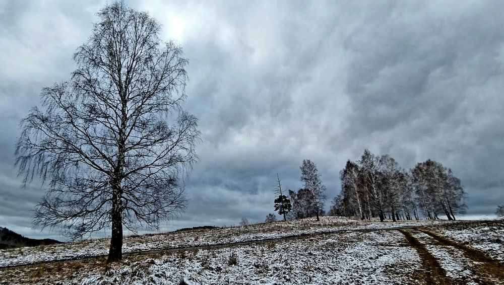 Одиночество