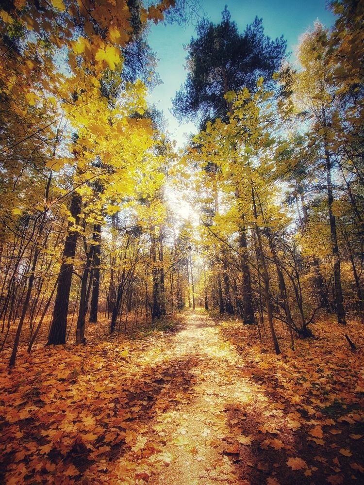 Photograph by Яна Лугинина