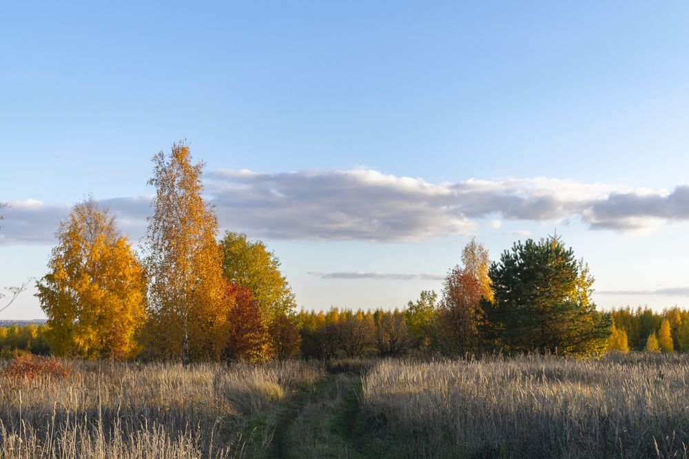 Фотография автора Галина Луценко