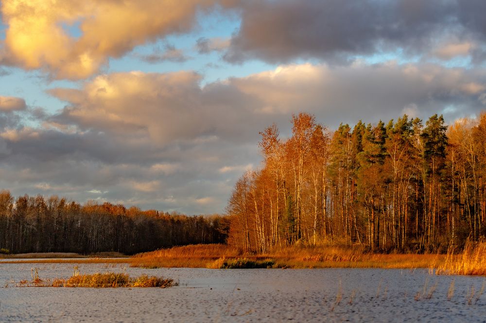 Photograph by Анатолий Буянов