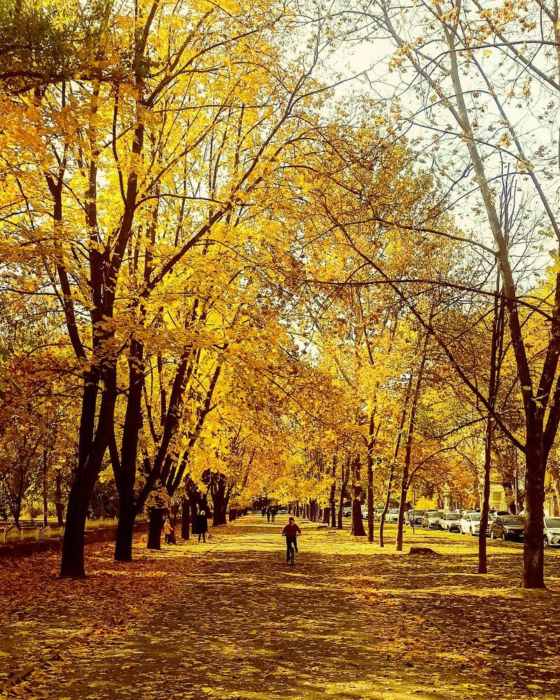 Photograph by Николай Авраменко