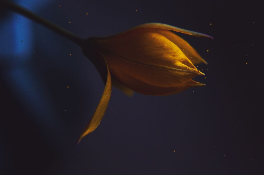 Photograph by Marina Sochirca