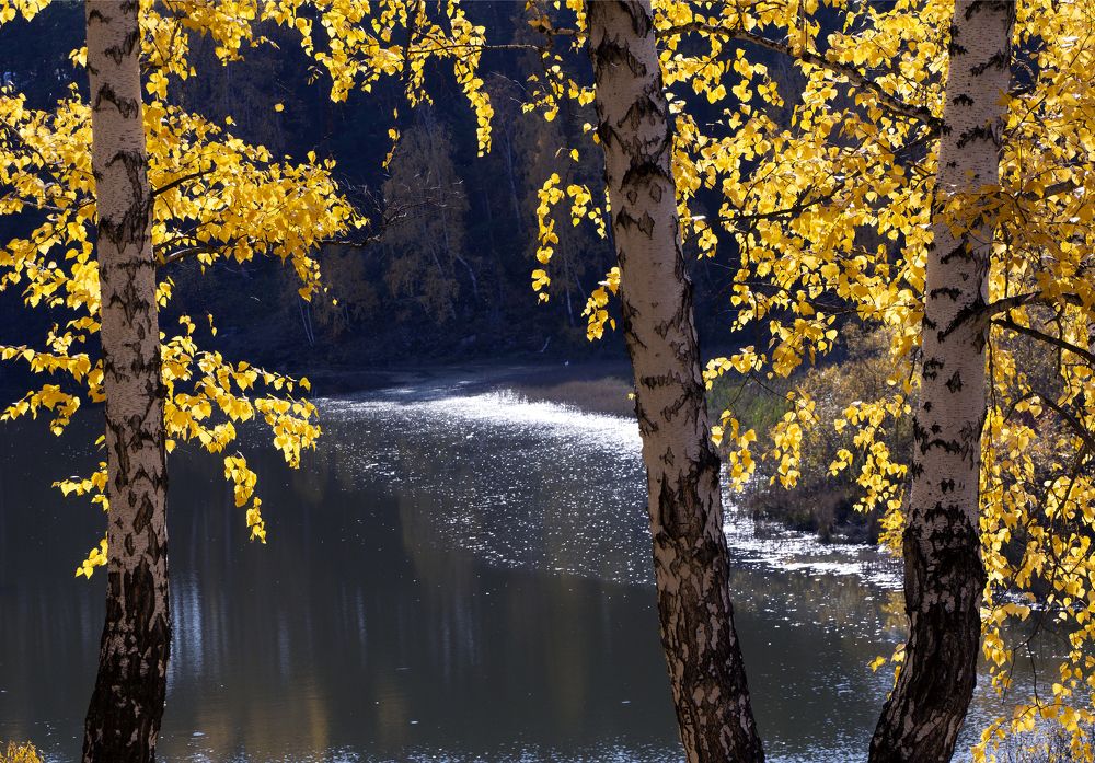 Photograph by Сергей Табатчиков