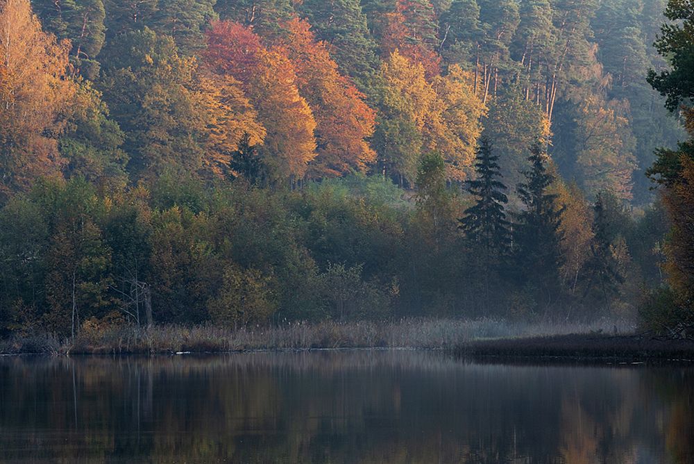 Photograph by Геннадий Новов