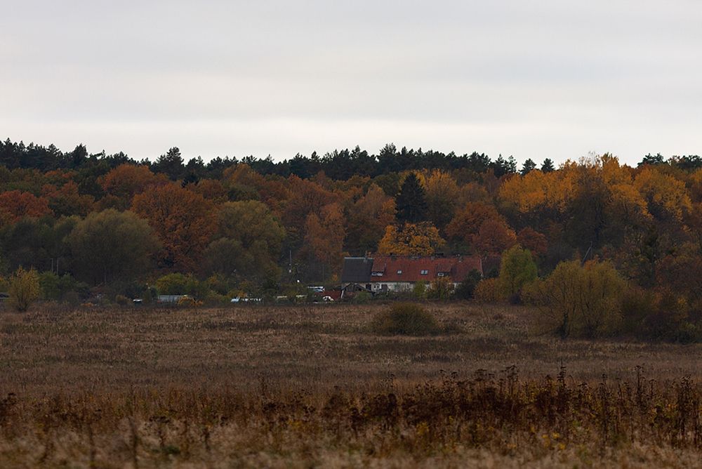 Photograph by Геннадий Новов