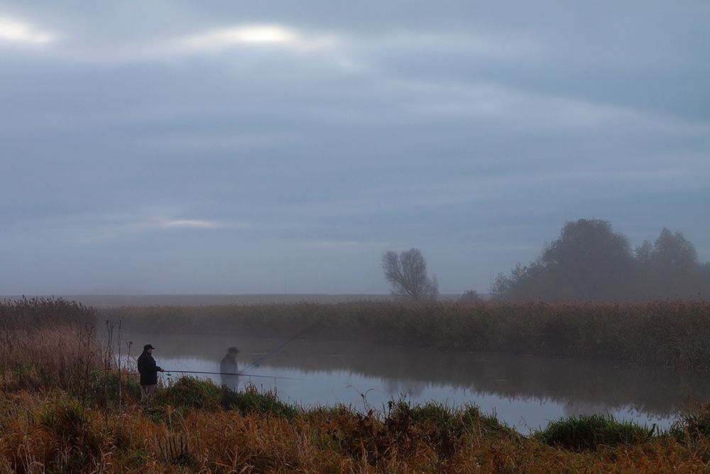 Photograph by Геннадий Новов