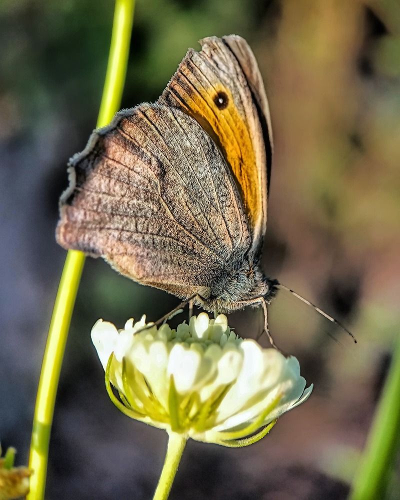 Фотография автора Марина