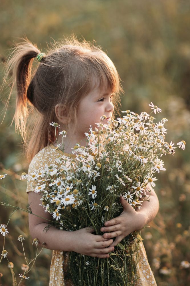 Ромашковая дружба