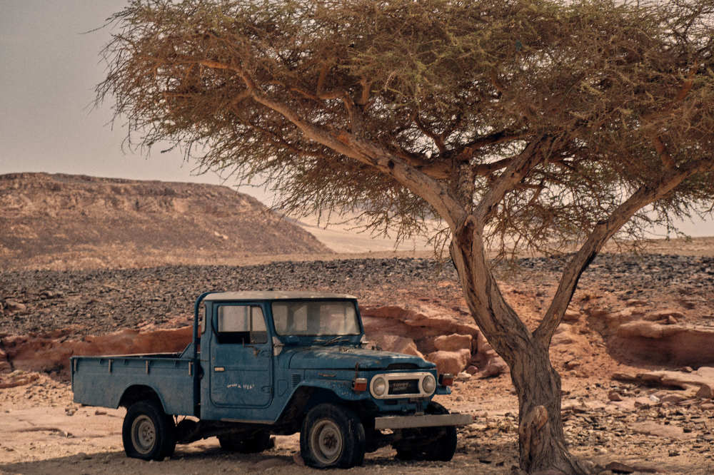 Photograph by Александр Серняк