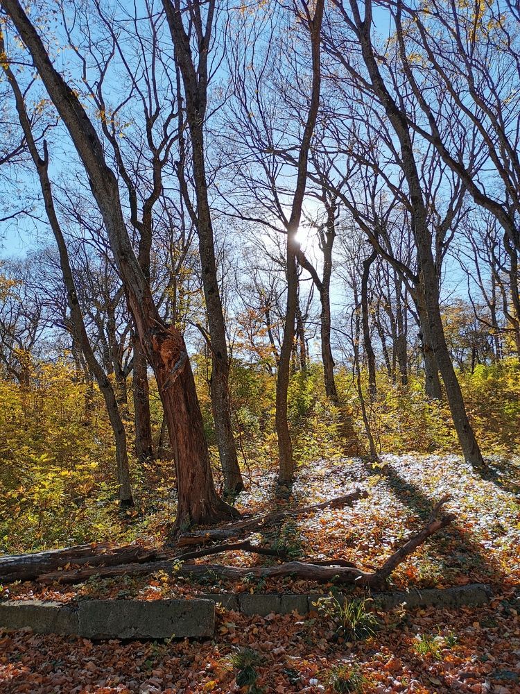 Photograph by Valentina