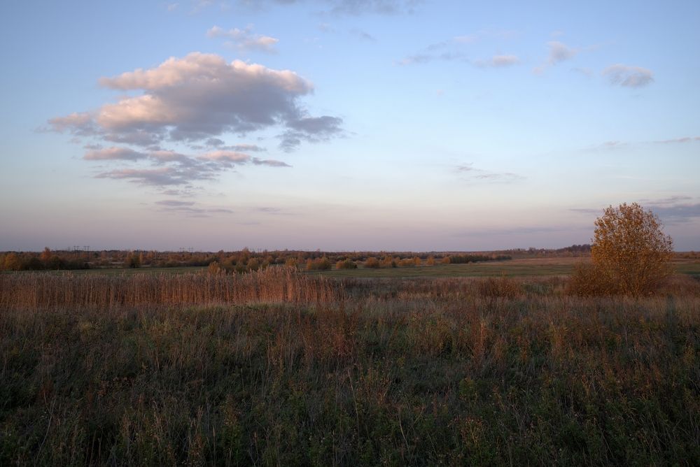 Фотография автора Виктор Конев