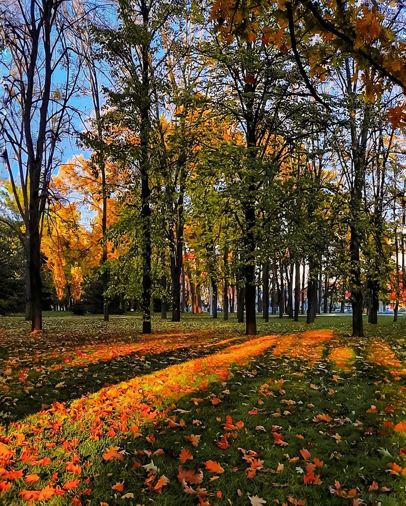 Photograph by Гельфман Галина