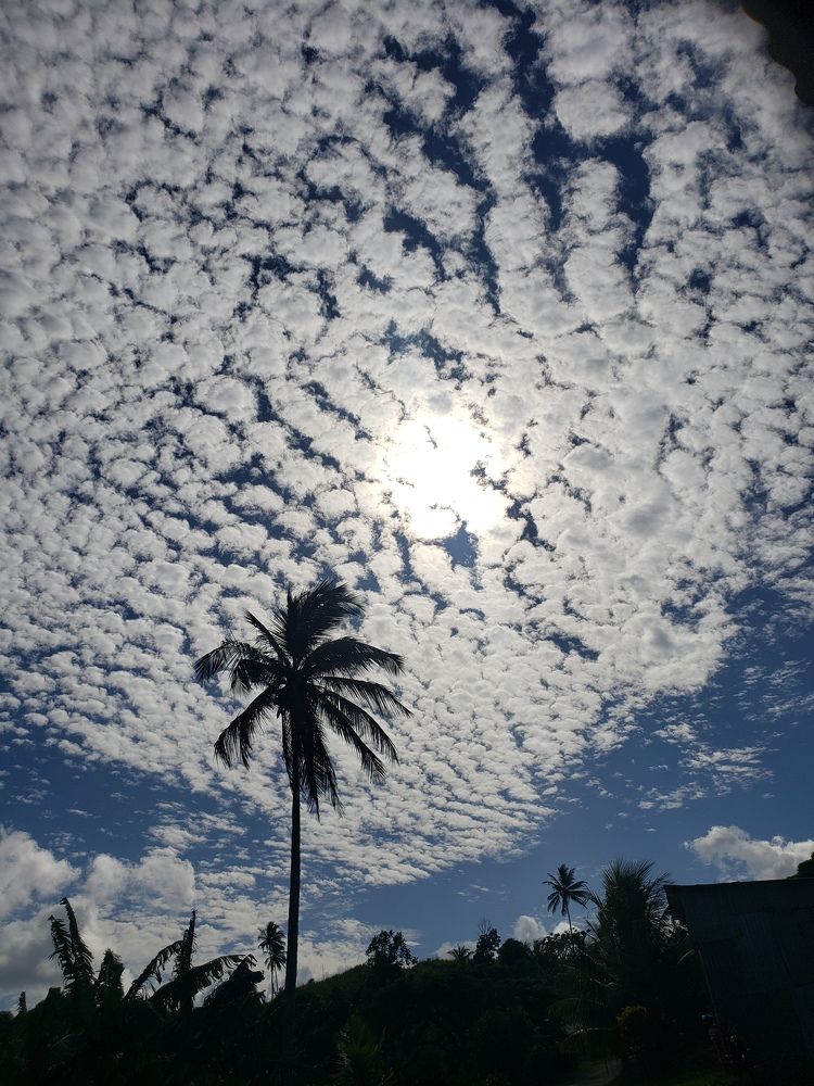 Photo #6631867