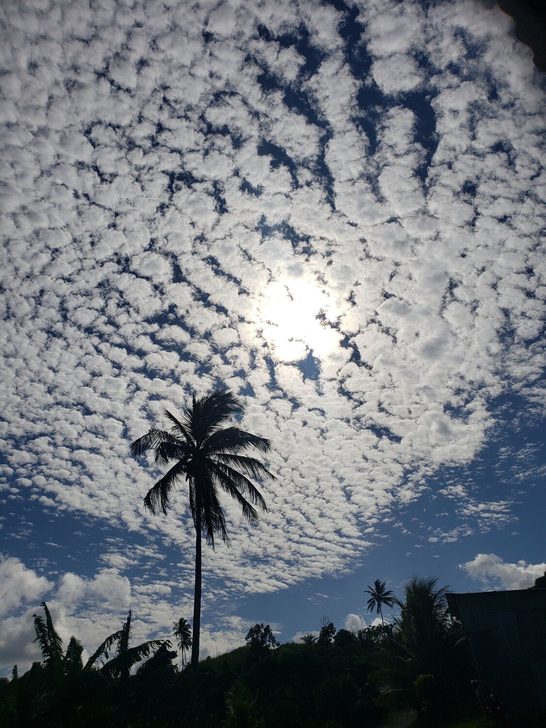 Photo #6631867