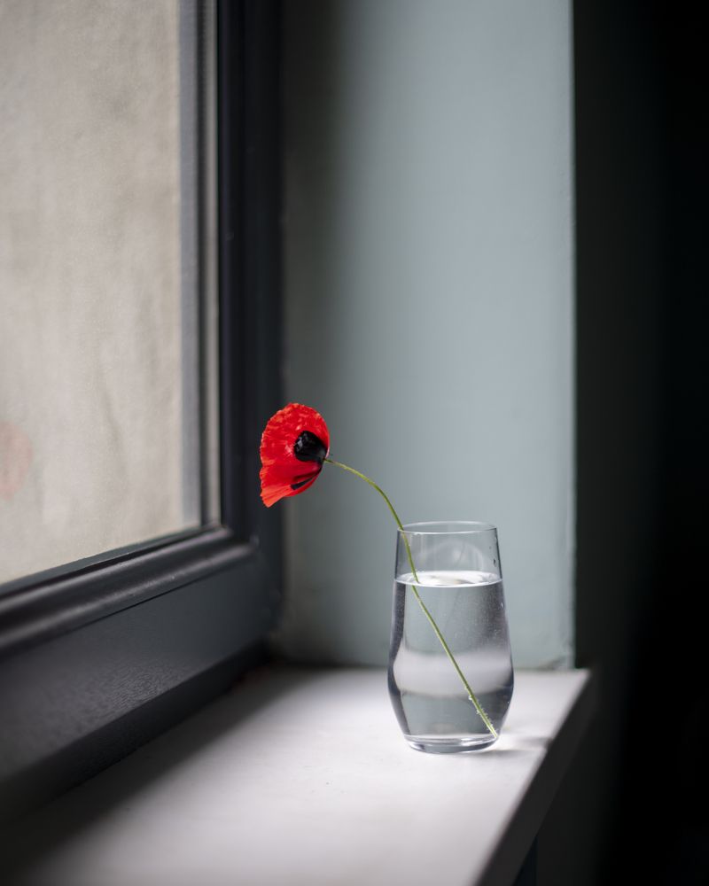 Photograph by Giorgi