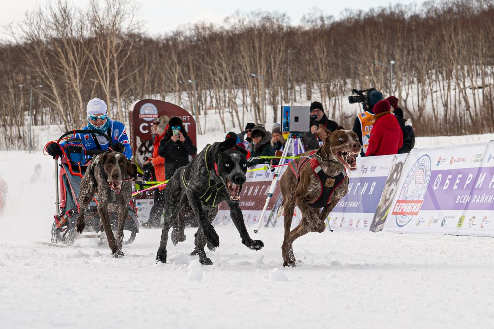 Фотография автора Анна Моргачёва