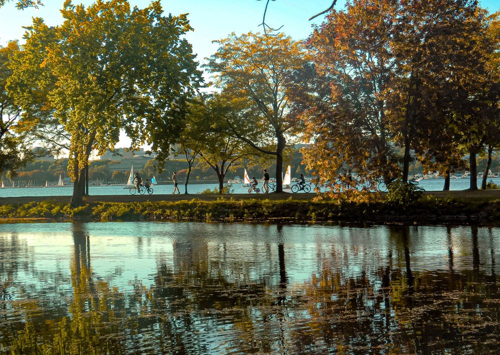 Photograph by Andrea