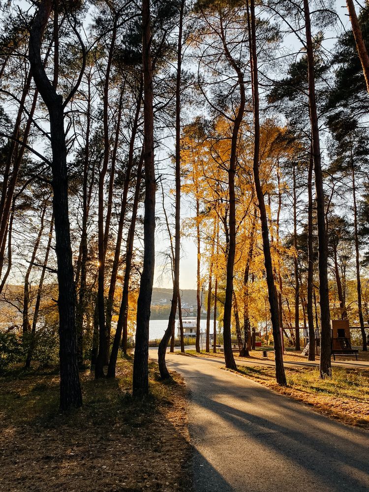 Photograph by Александр Воронов