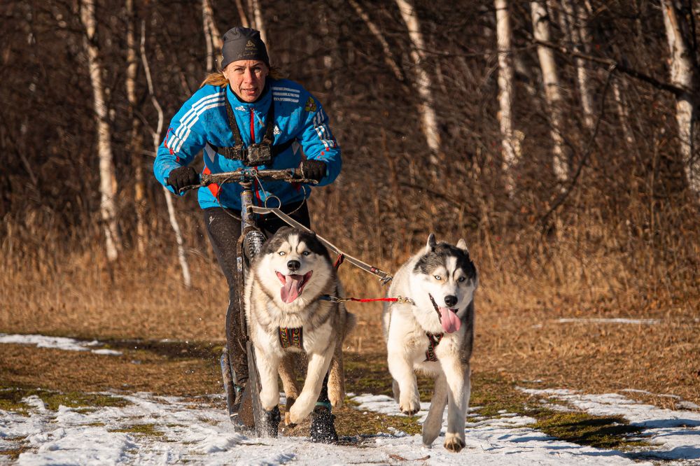 Фотография автора Анна Моргачёва