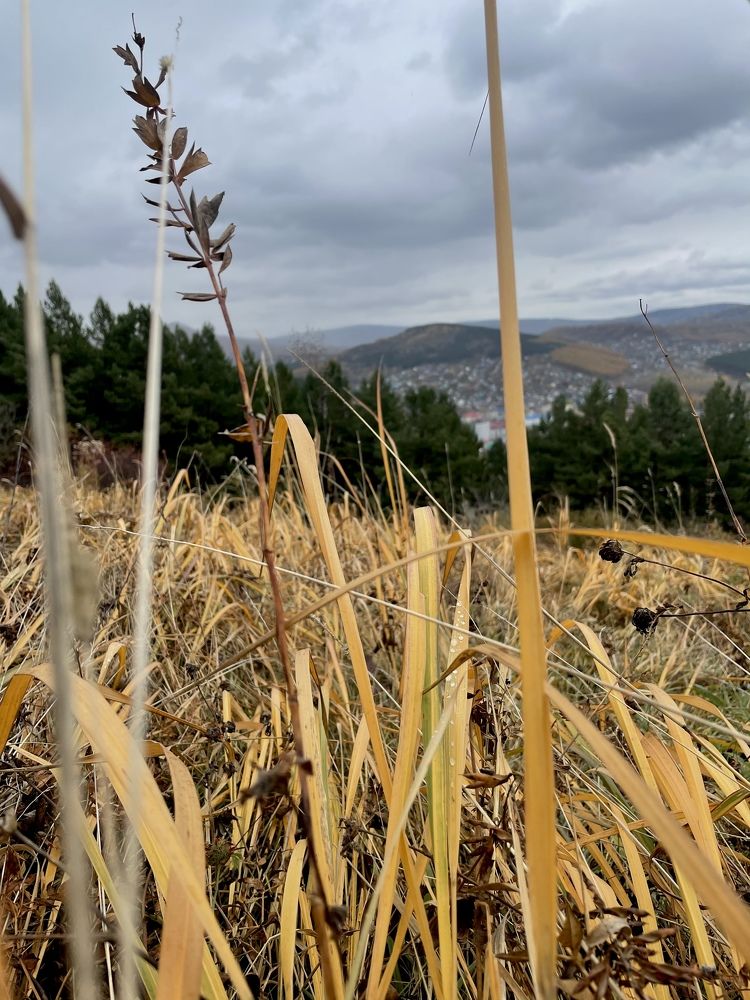 Photograph by Ольга