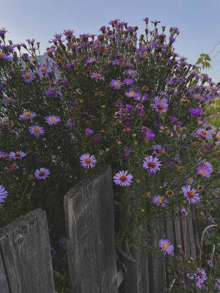 Photograph by Ольга