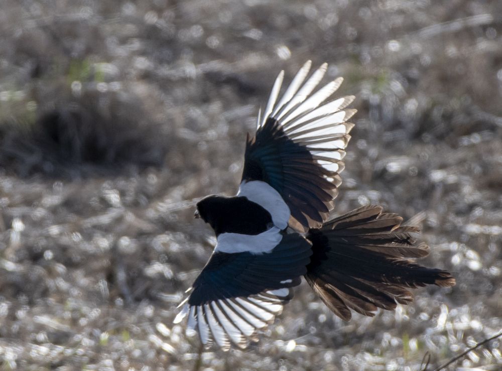 Photograph by Сергей Шерстнев