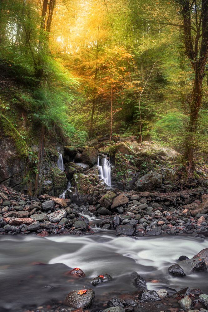 Photograph by Hamid musavi