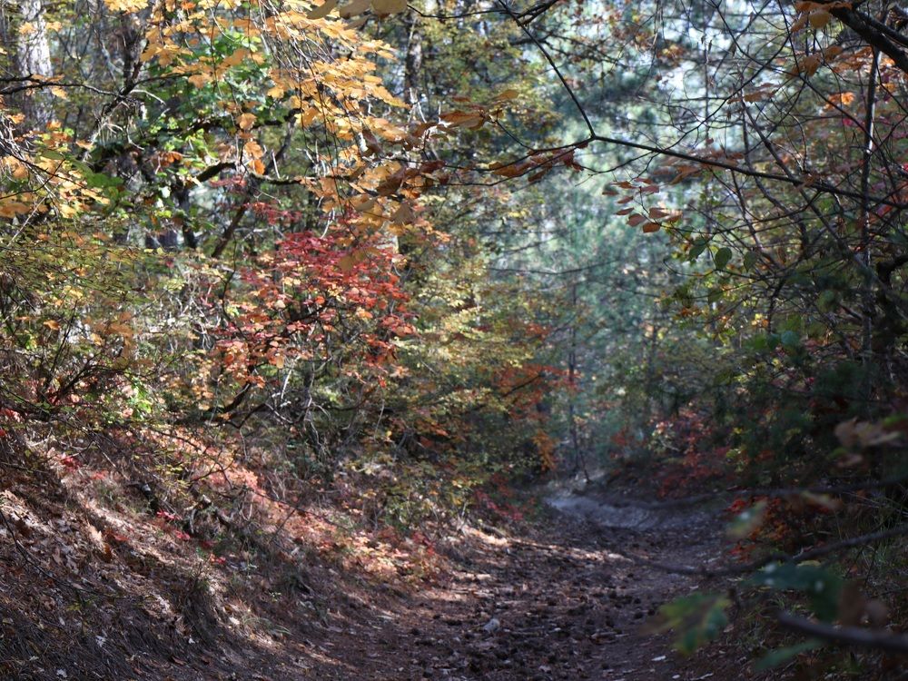 Photograph by Андрей Хитрун