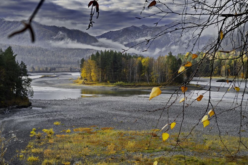 Photograph by Дмитрий Кузнецов