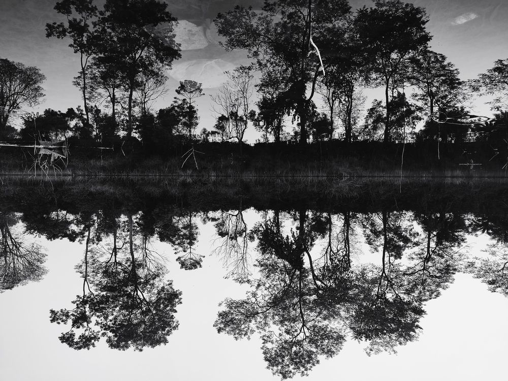 Photograph by Pramit Das