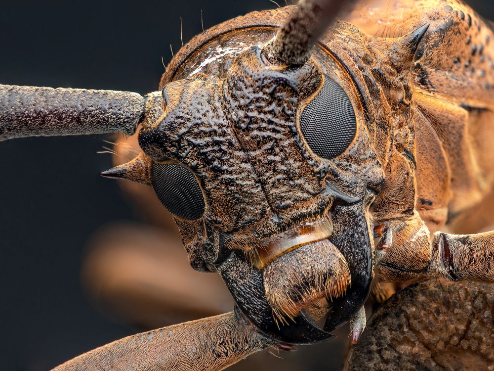 Photograph by Su Vun Lee