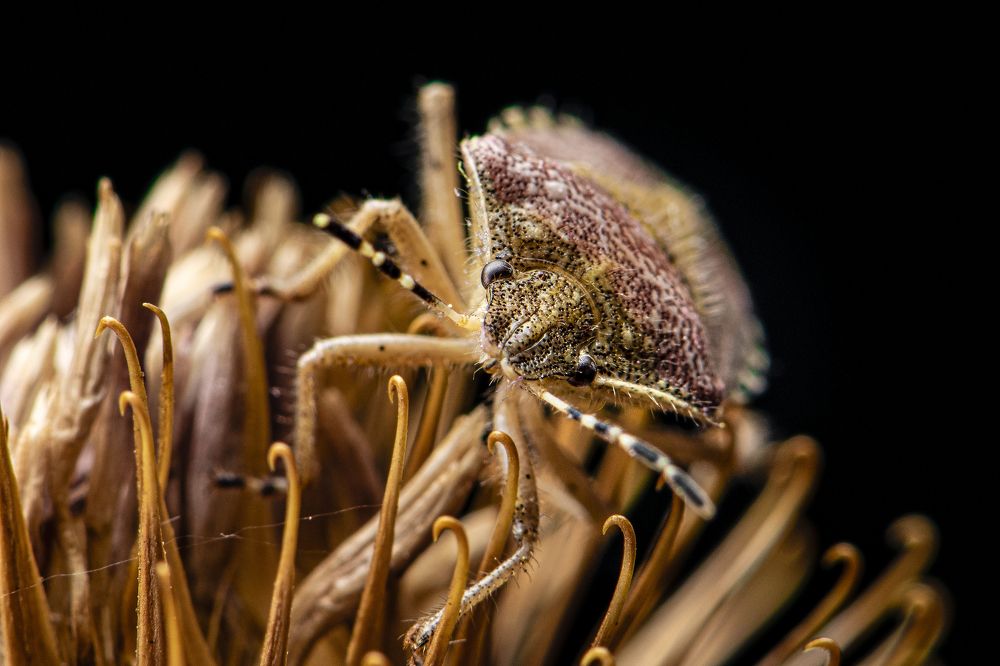 Photograph by Евгений Корнев