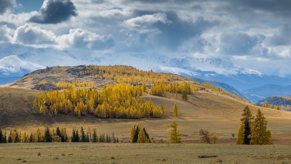 Photograph by Александр Потапов