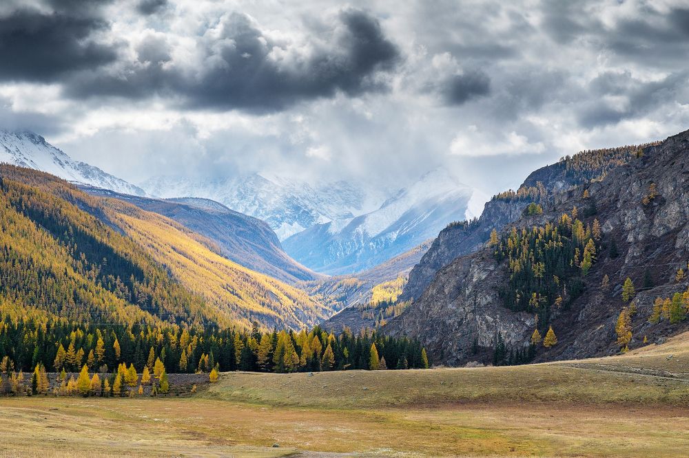 Photograph by Александр Потапов