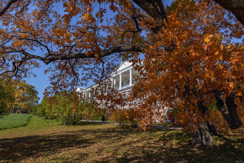 Photograph by Сергей Калинников