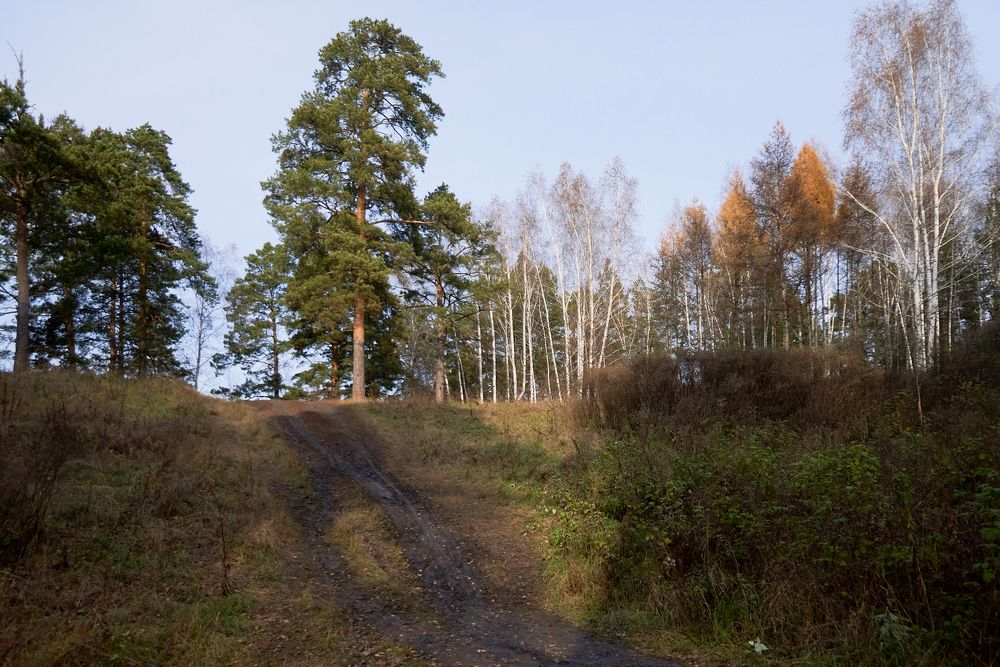 Photograph by Владимир