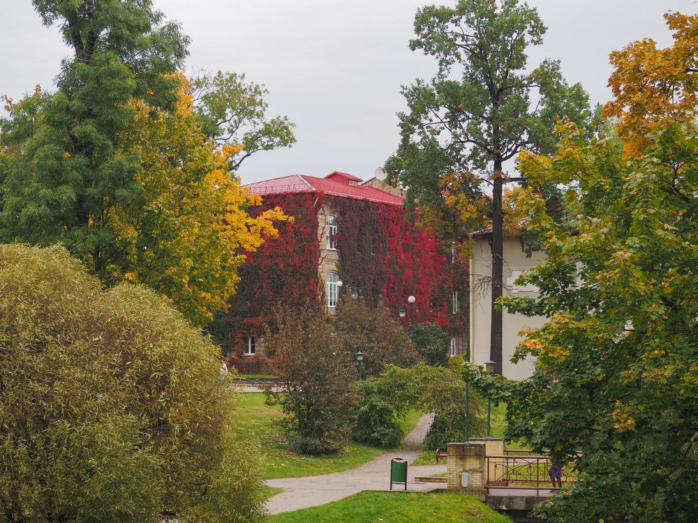 Photograph by Nikola Melnik