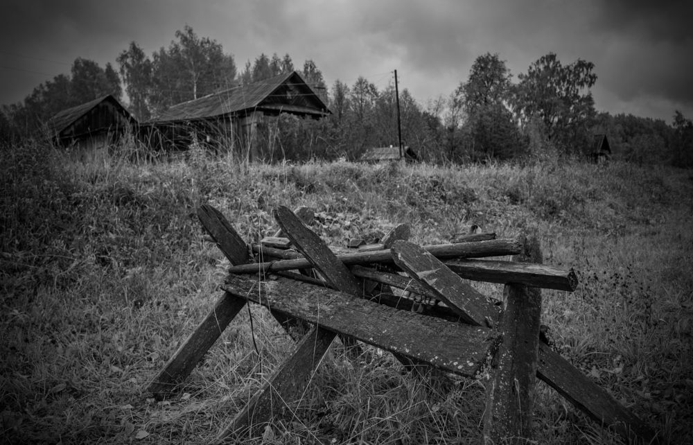 Photograph by Николай Путинцев