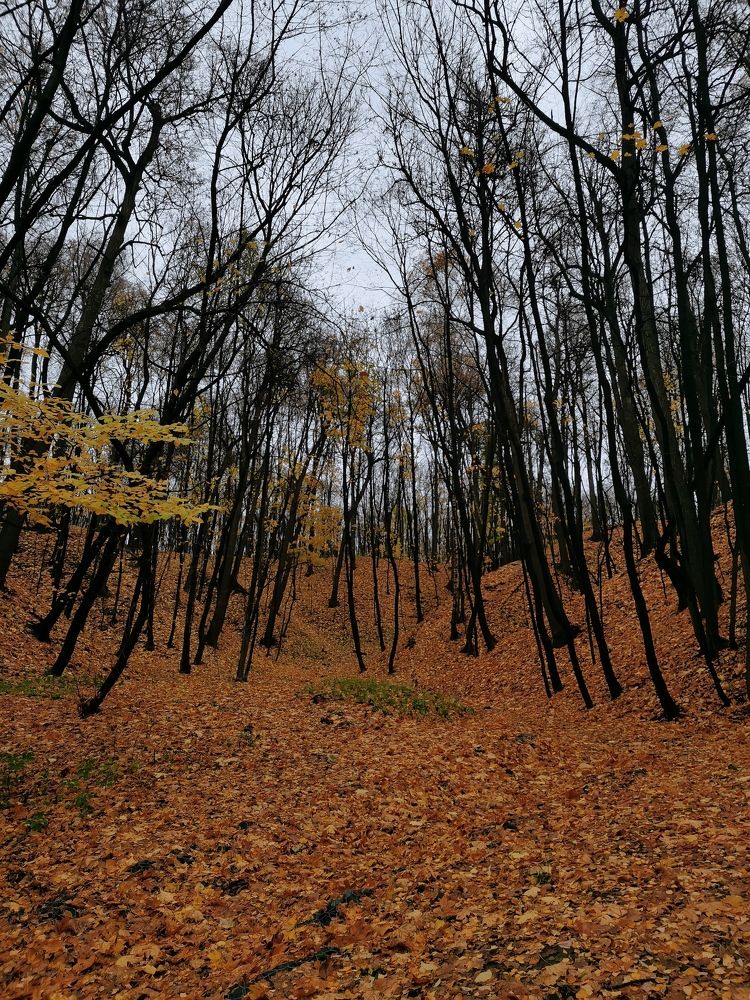 Photograph by Иван Н