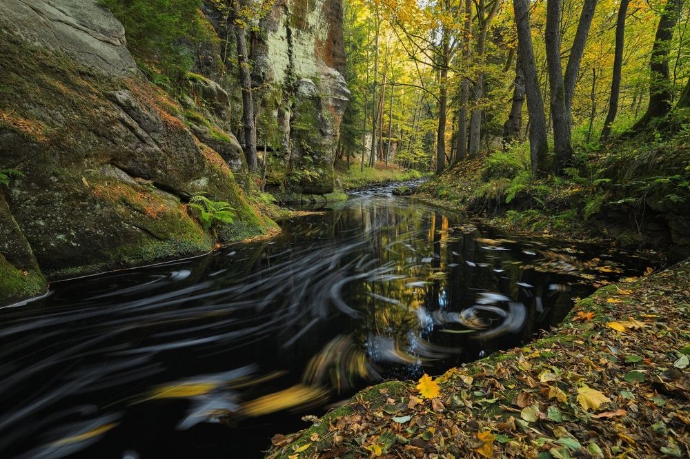 Фотография автора Michaela Vinterova