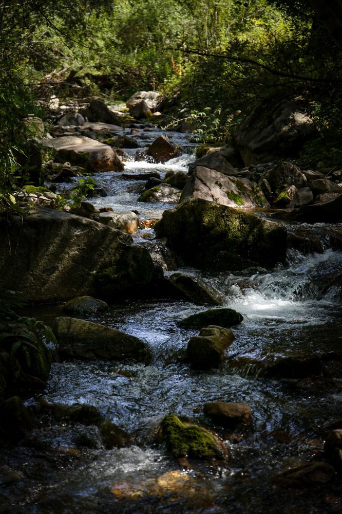 Фотография автора Ксения Лепина