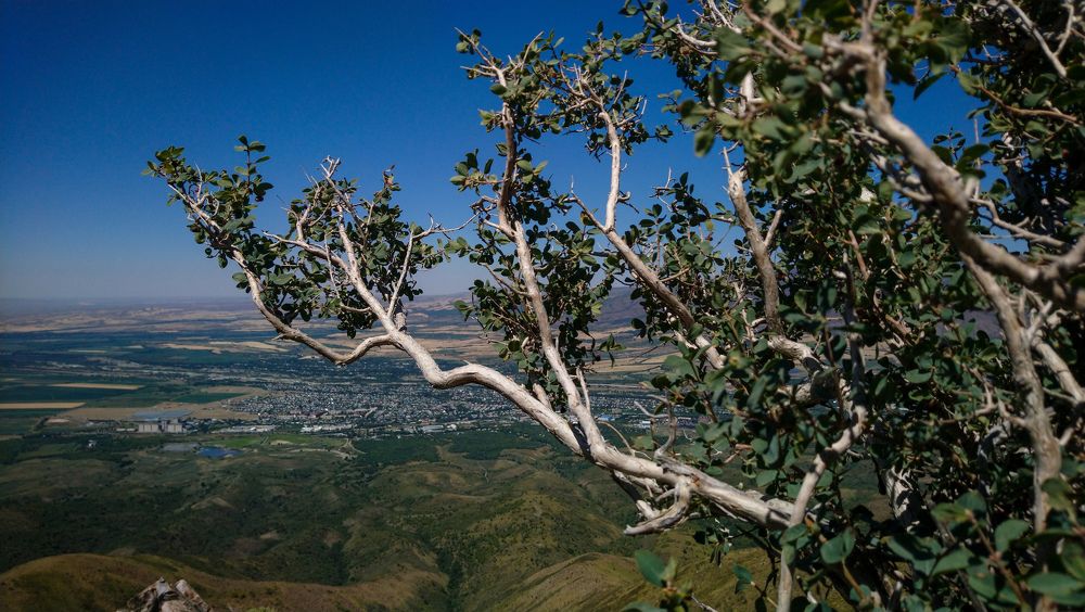 Фотография автора Ксения Лепина