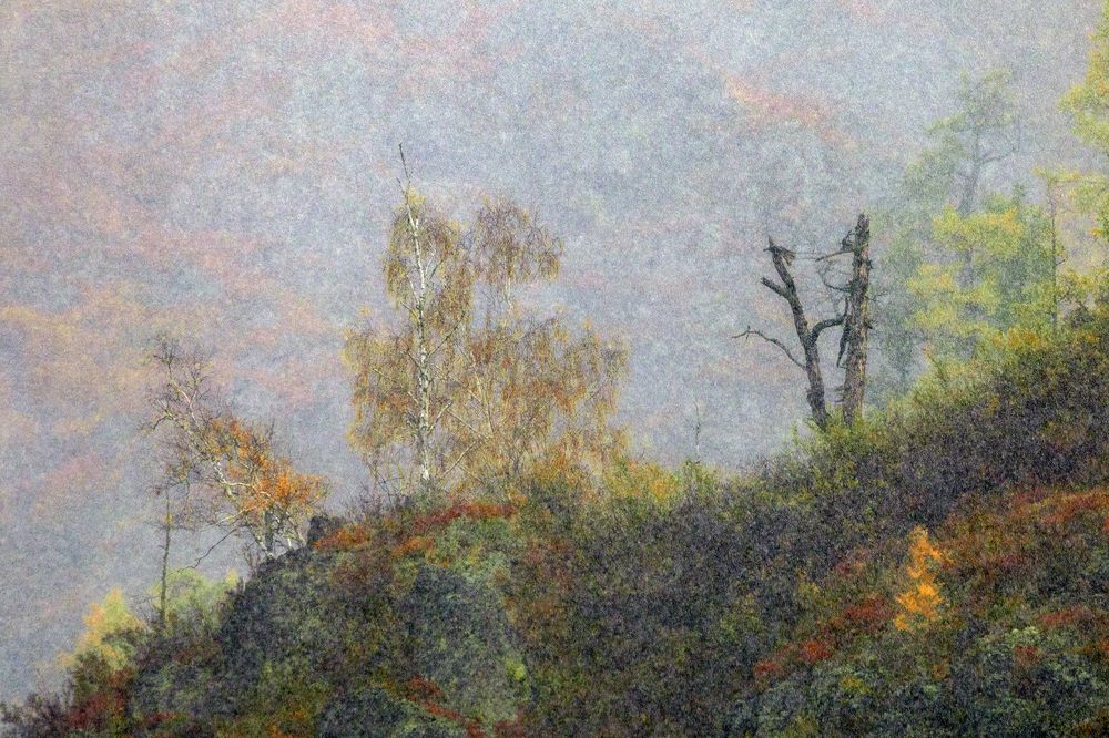 Шелкография первого снега.