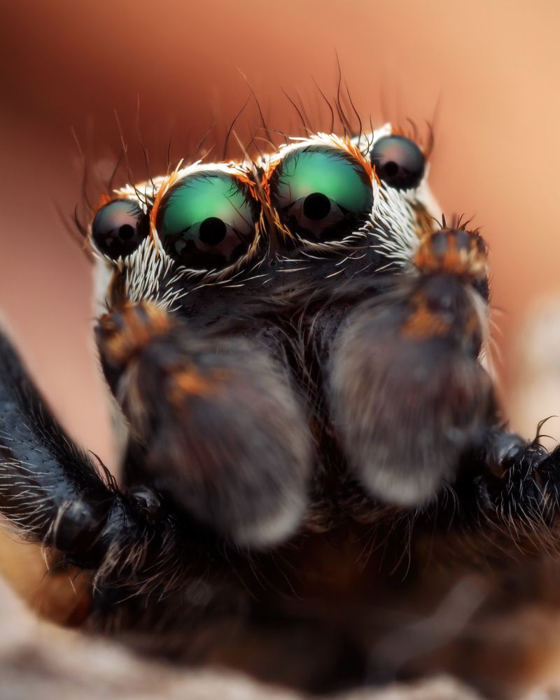 Photograph by Роман Фадеев